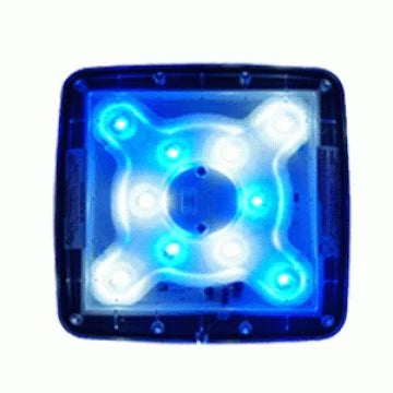 TMC Aquaray