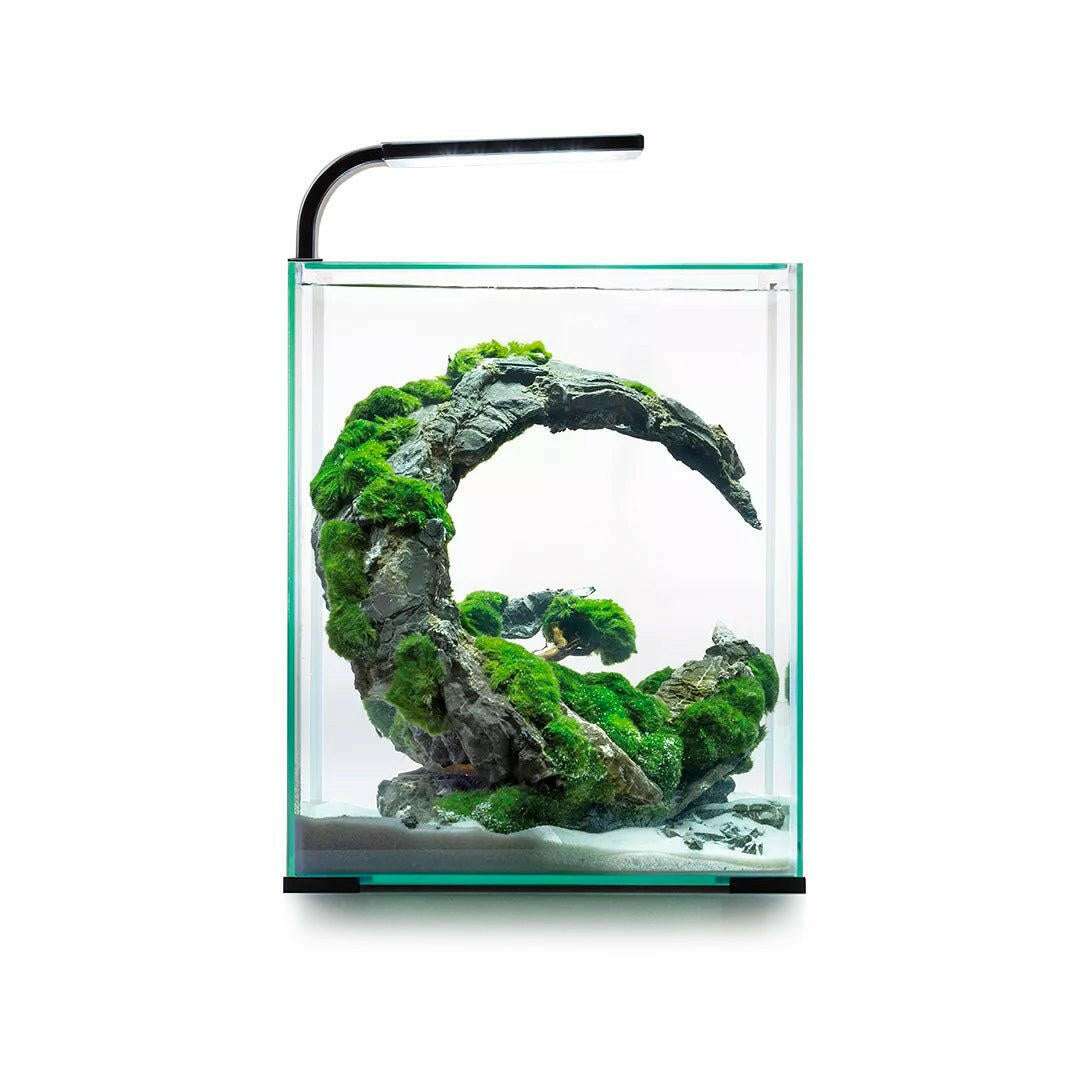 Freshwater Nanos