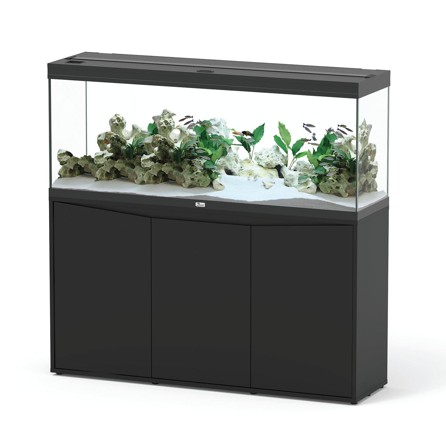 Aqualantis - Charterhouse Aquatics