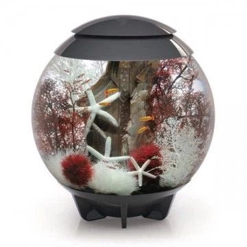 BiOrb - Charterhouse Aquatics