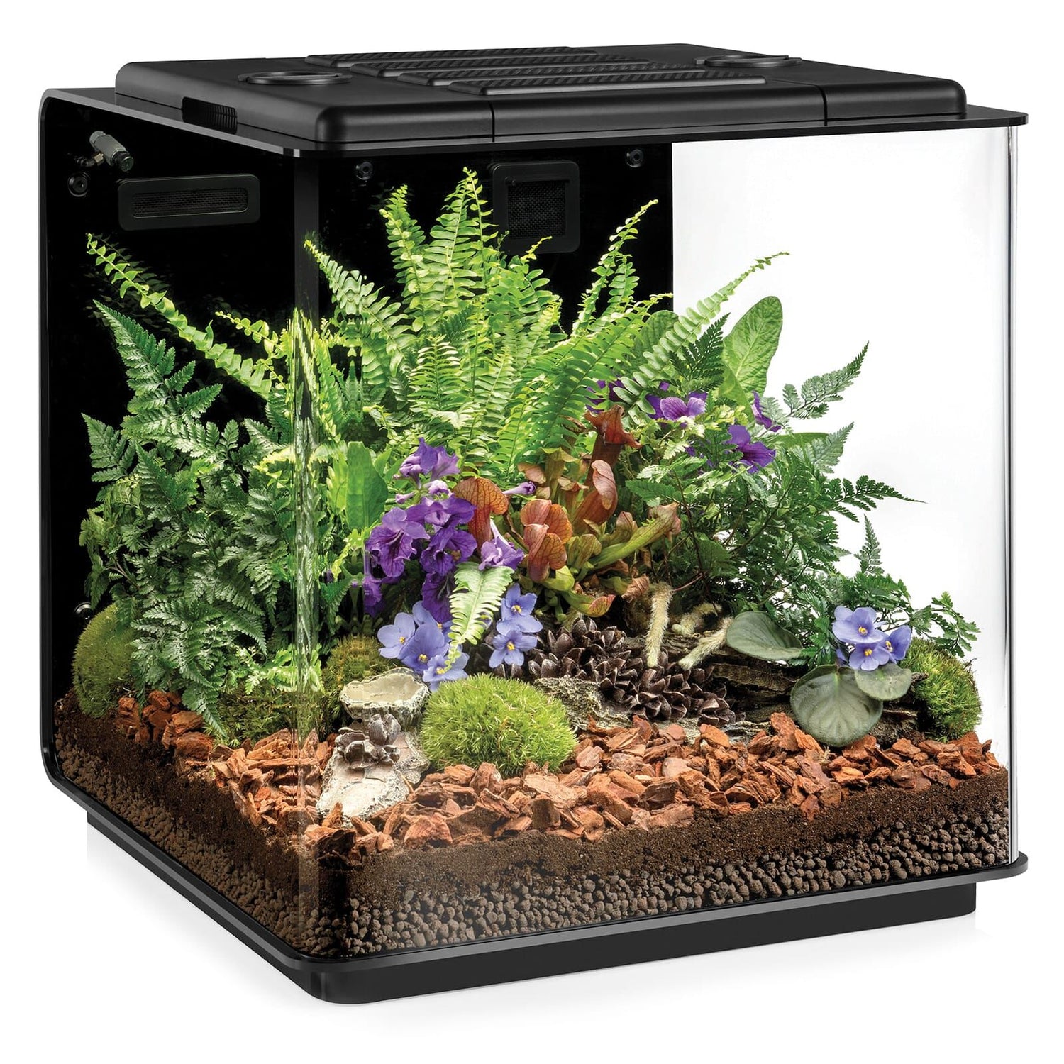 biOrb EARTH - Charterhouse Aquatics