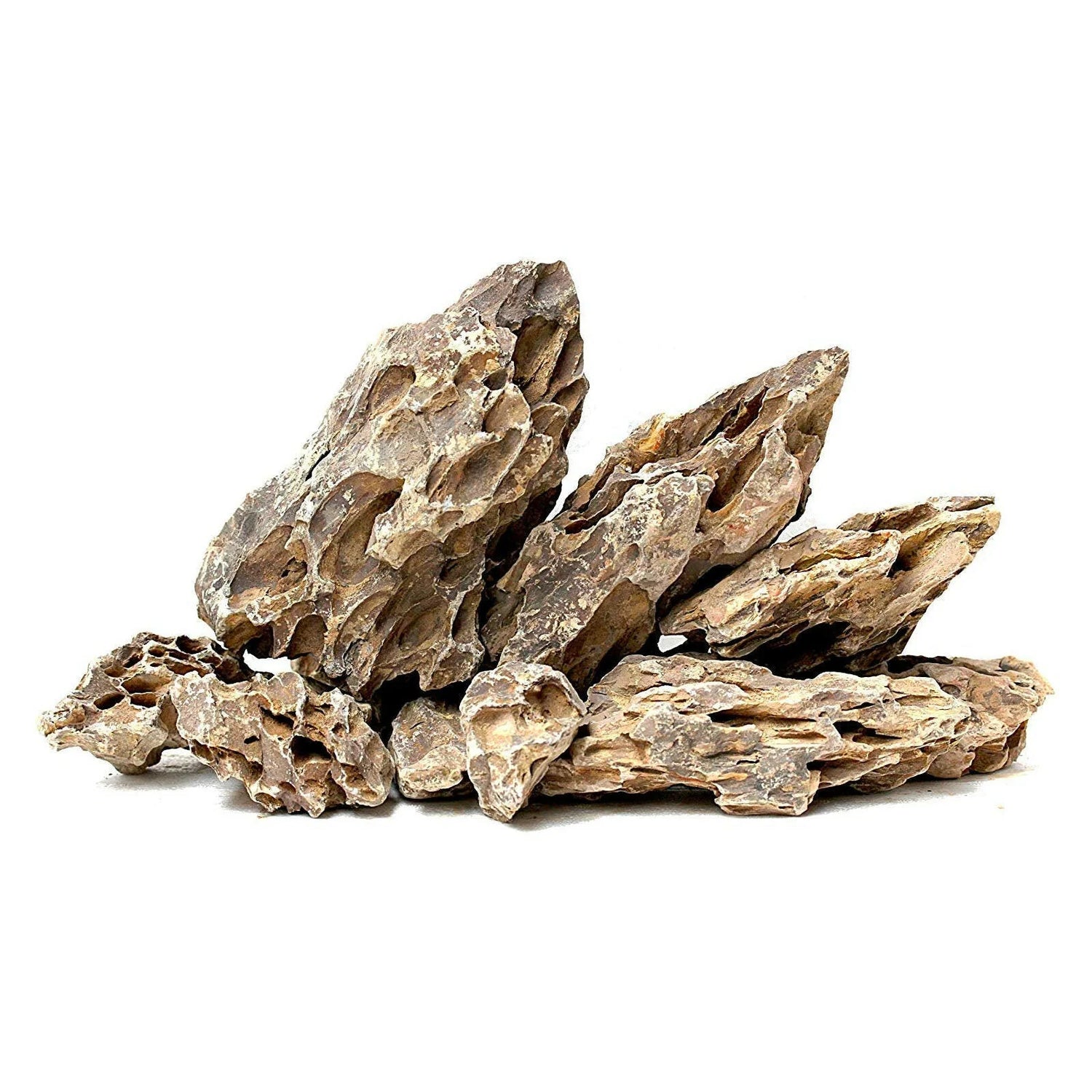 Bioactive Rock