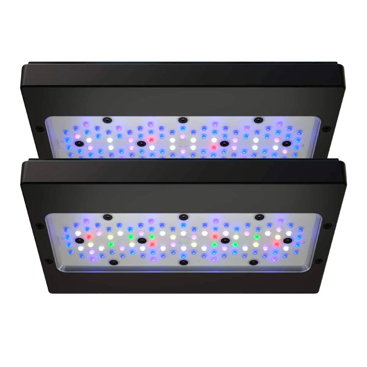 EcoTech Radion - Charterhouse Aquatics