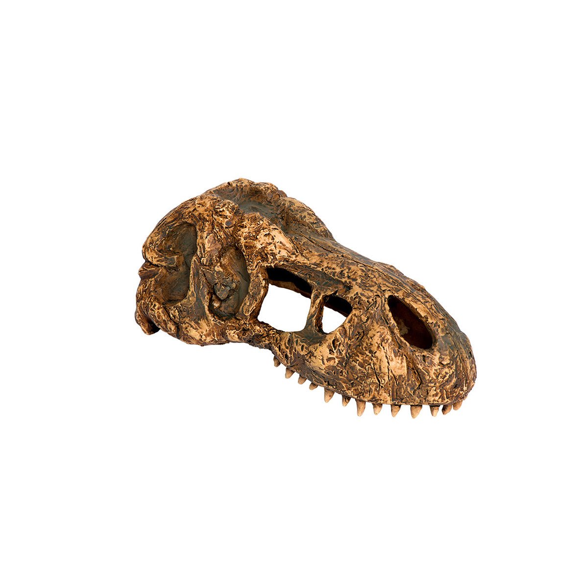 Reptile Ornaments