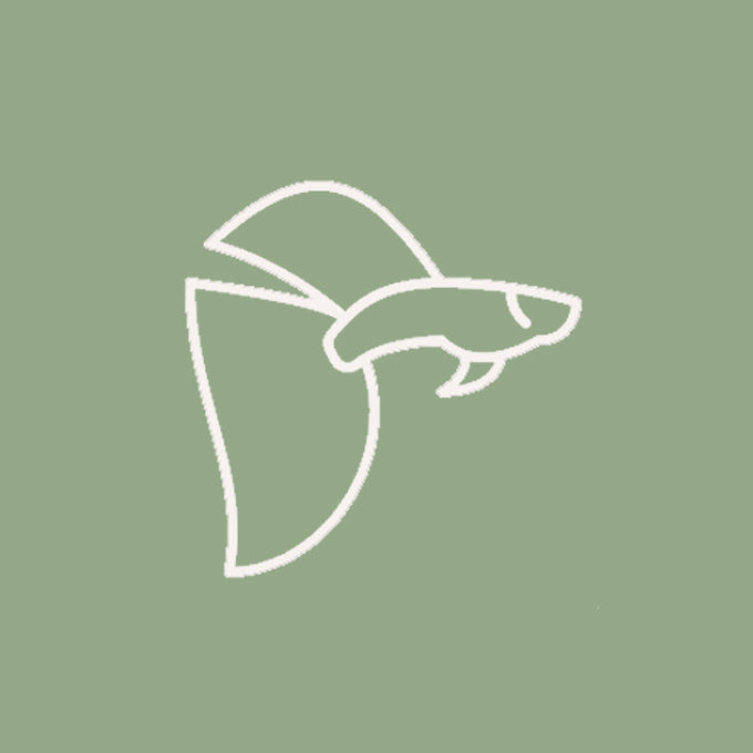 Freshwater Shop