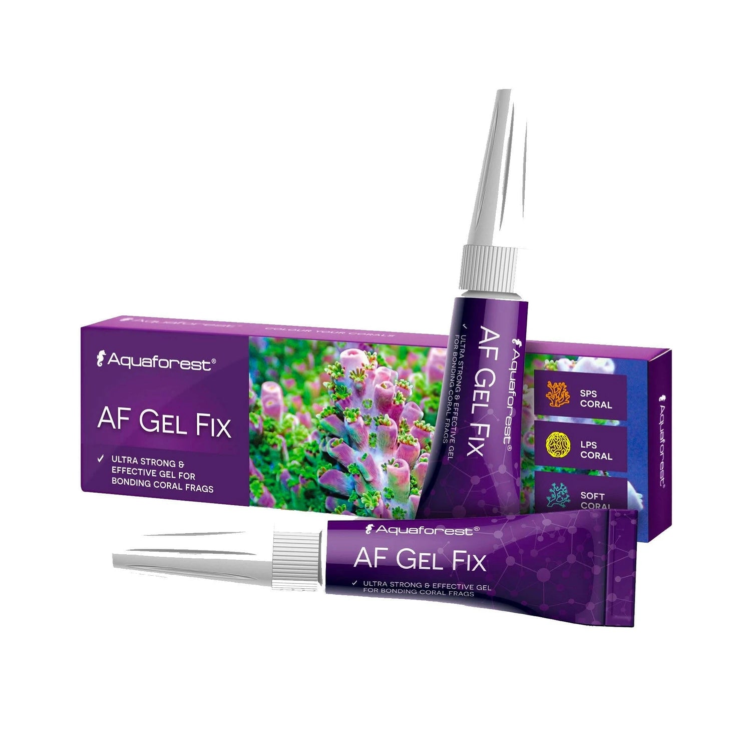 Putty Glues & Silicon.