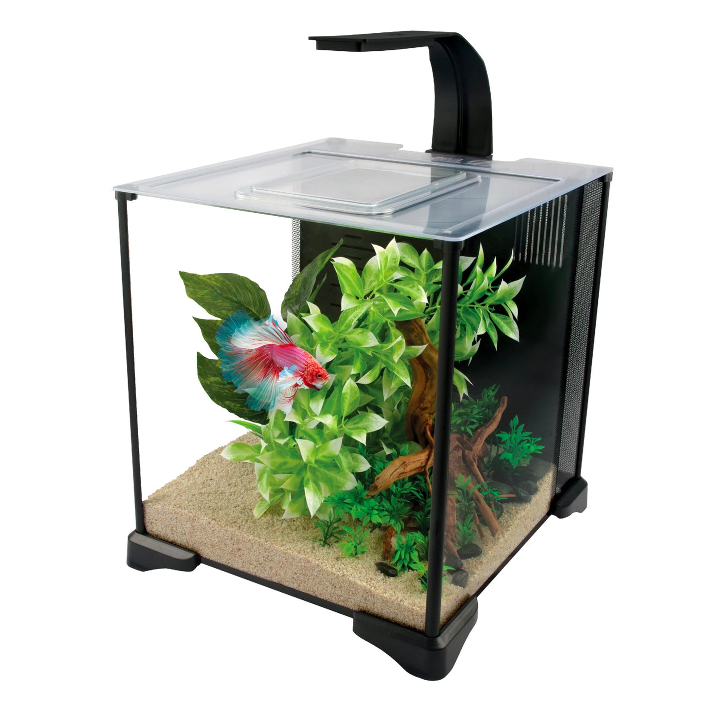 Fluval Betta Premium Aquarium Kit