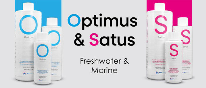 Nitrifying Bacteria