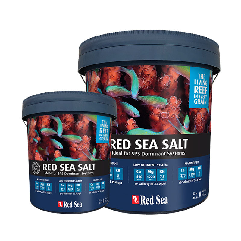 Red Sea Salt