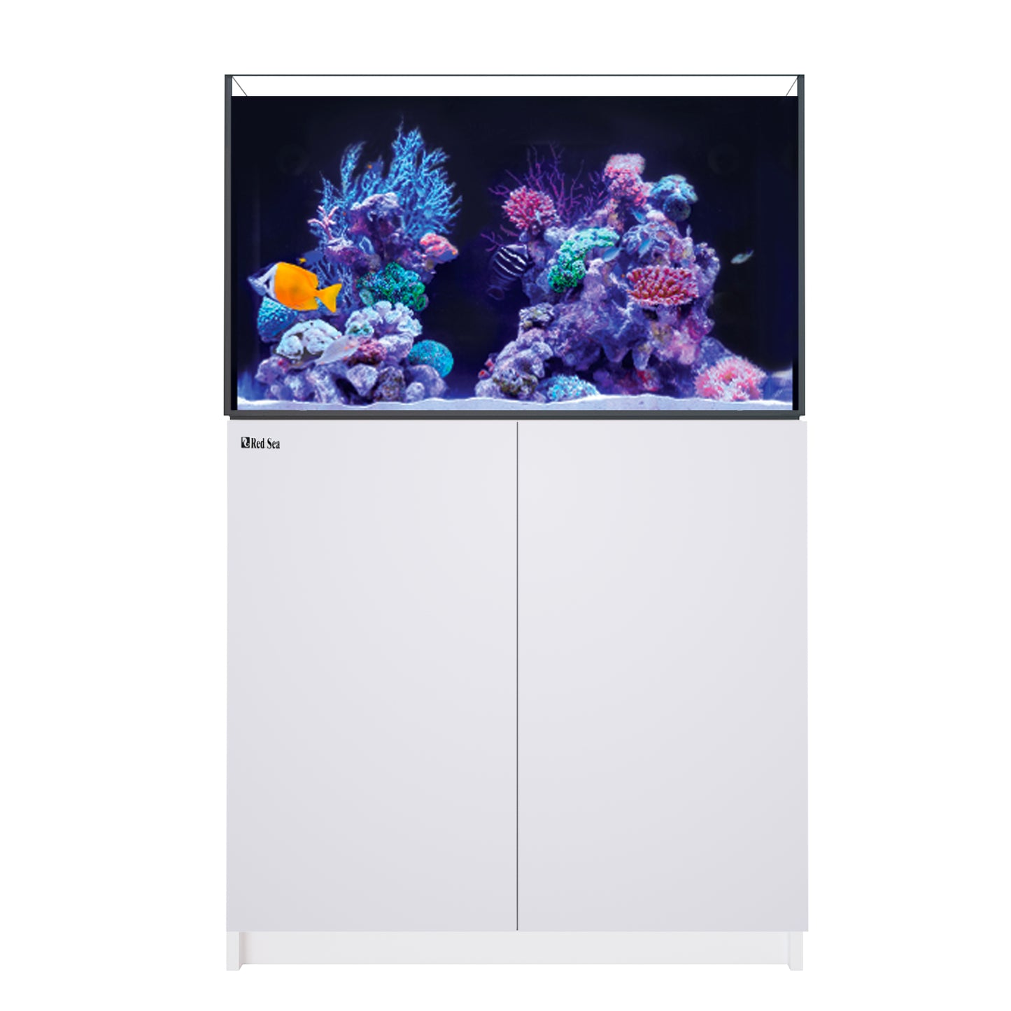 Red Sea Reefer G2+ 250 Aquarium