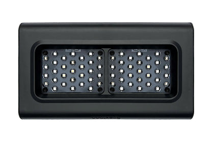 D-D Spektrum LED Light
