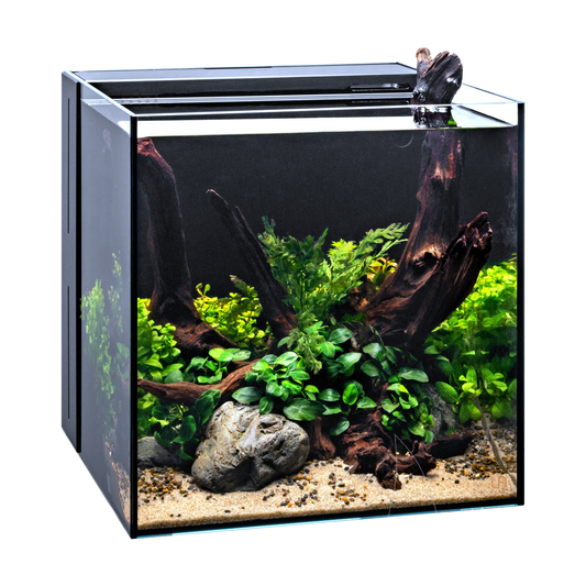UNS Dual All-In-One 30A Cube Aquarium – 7 Gallon Rimless Tank