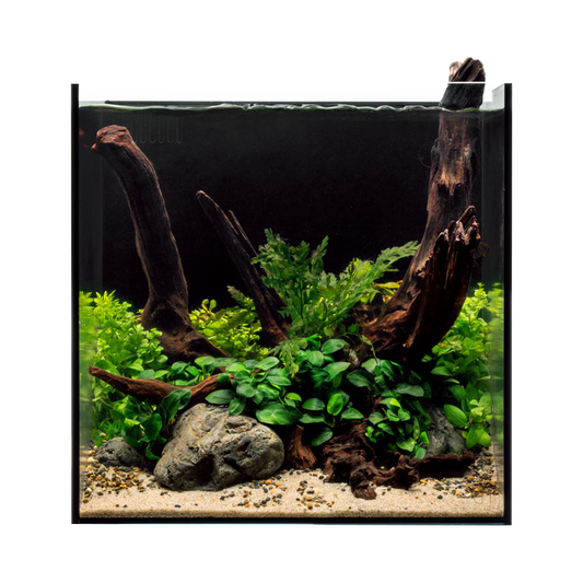 UNS Dual All-In-One 35A Cube Aquarium – 11 Gallon Rimless Tank