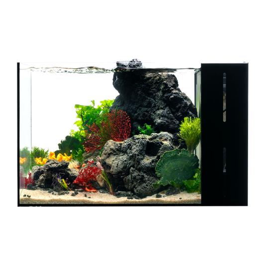 UNS Dual All-In-One 45A Peninsula Aquarium – 9 Gallon Rimless Tank