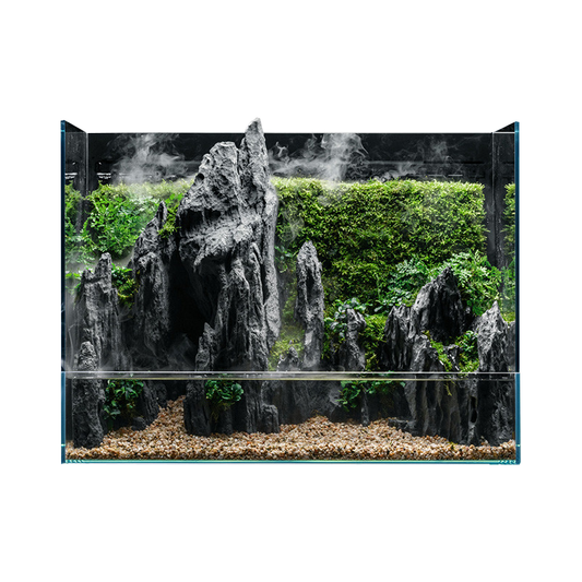 UNS 60E Foresta Integrated Paludarium – Rimless Glass Hybrid Tank