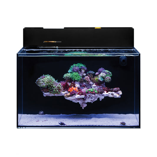 UNS Dual All-In-One 60A Aquarium – 20 Gallon Rimless Tank