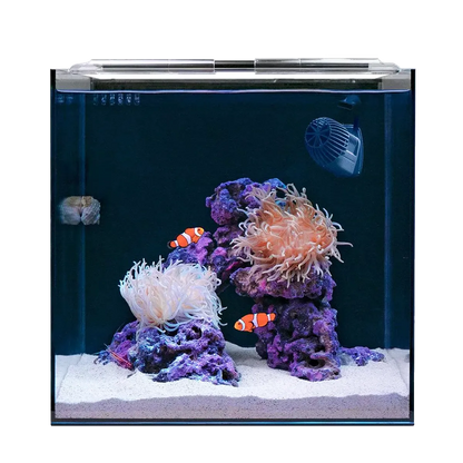 HelloReef Clownfish & Anemone Aquarium Kit