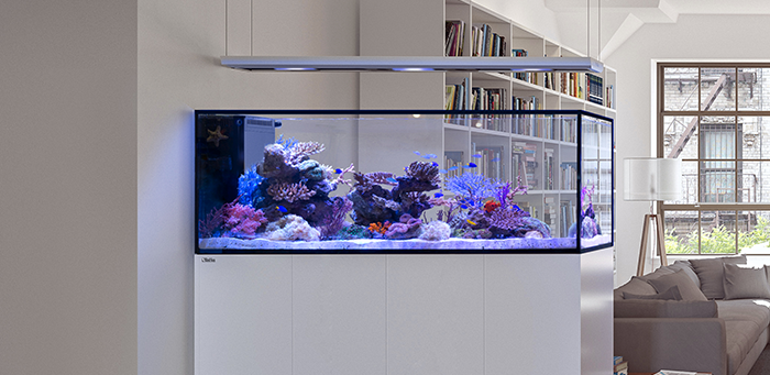 Red Sea Reefer Peninsula G3