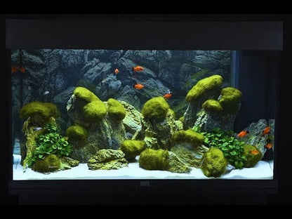 Juwel Rio 125 LED Aquarium and Cabinet