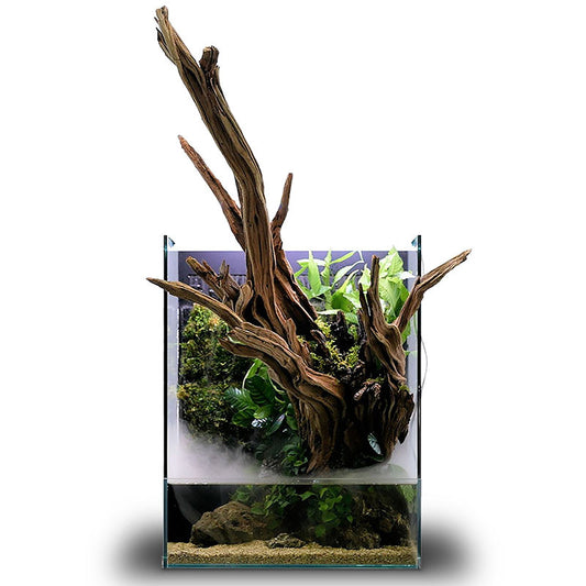 UNS 35E Foresta Integrated Paludarium – Rimless Glass Hybrid Tank