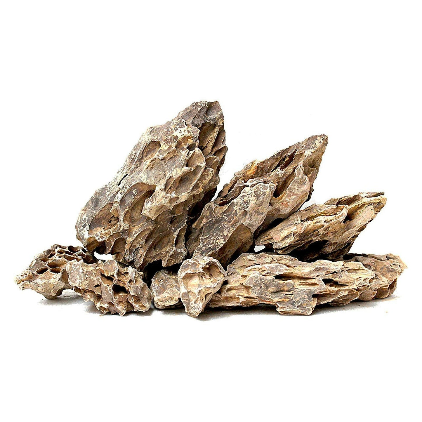 Brown Holey - Dragon Stone 20Kg Box - Charterhouse Aquatics