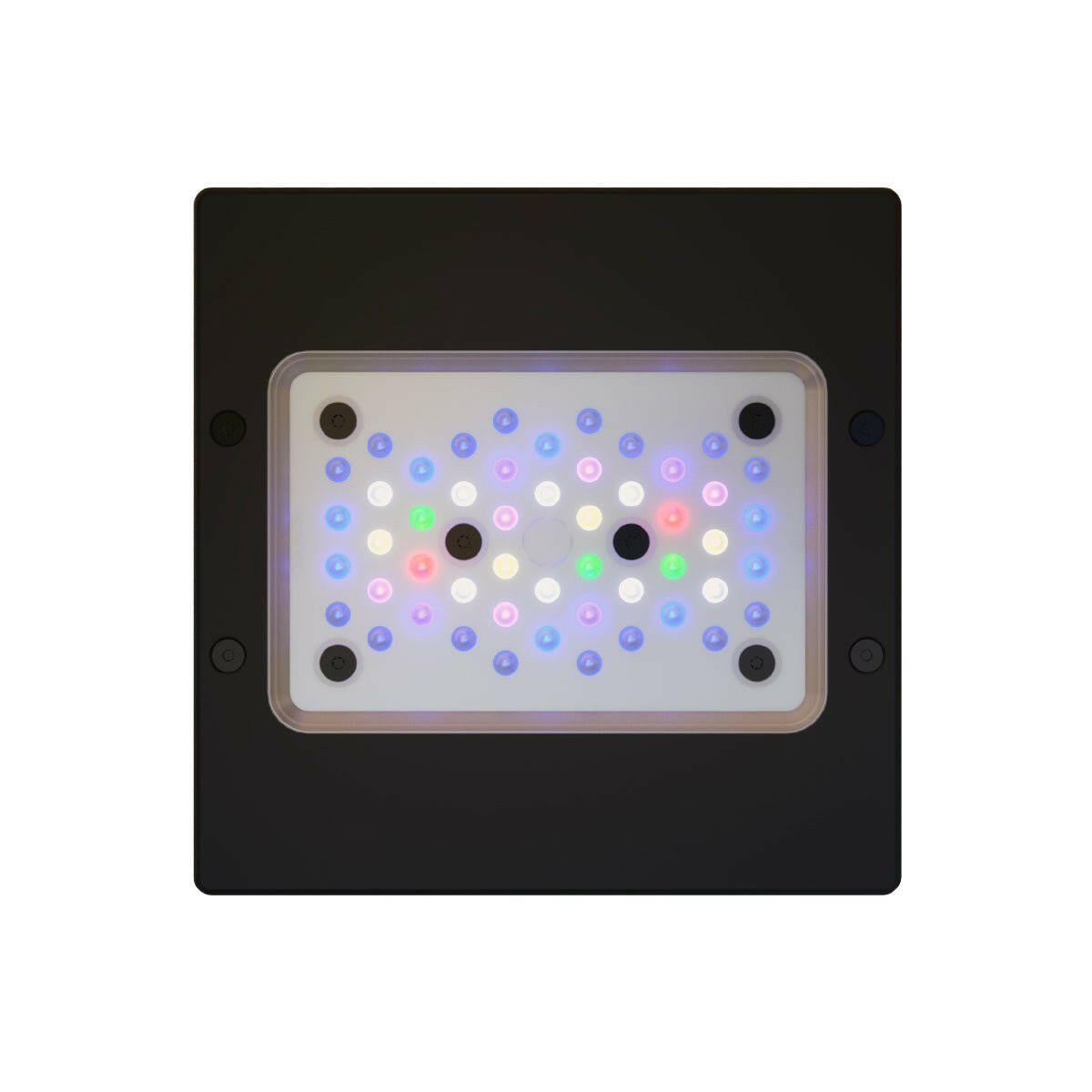 Ecotech Radion XR15w Pro G6 LED - Charterhouse Aquatics