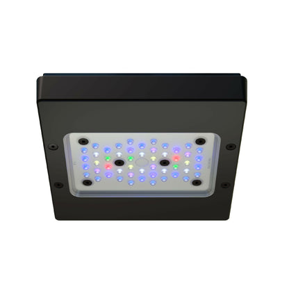 Ecotech Radion XR15w Pro G6 LED - Charterhouse Aquatics
