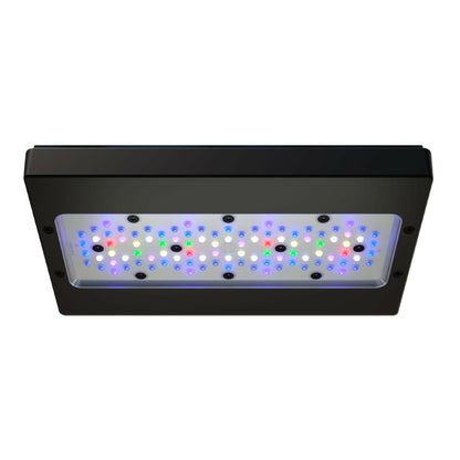 Ecotech Radion XR30w Pro G6 LED and Tank Mount - Charterhouse Aquatics