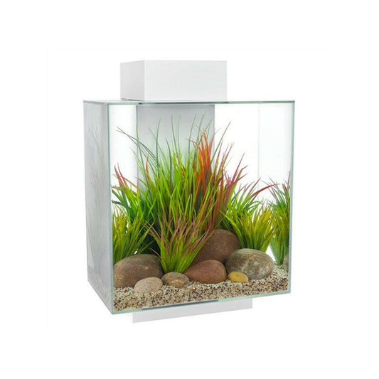 Fluval Edge 2.0 Aquarium 46 Litre - Gloss White - Charterhouse Aquatics