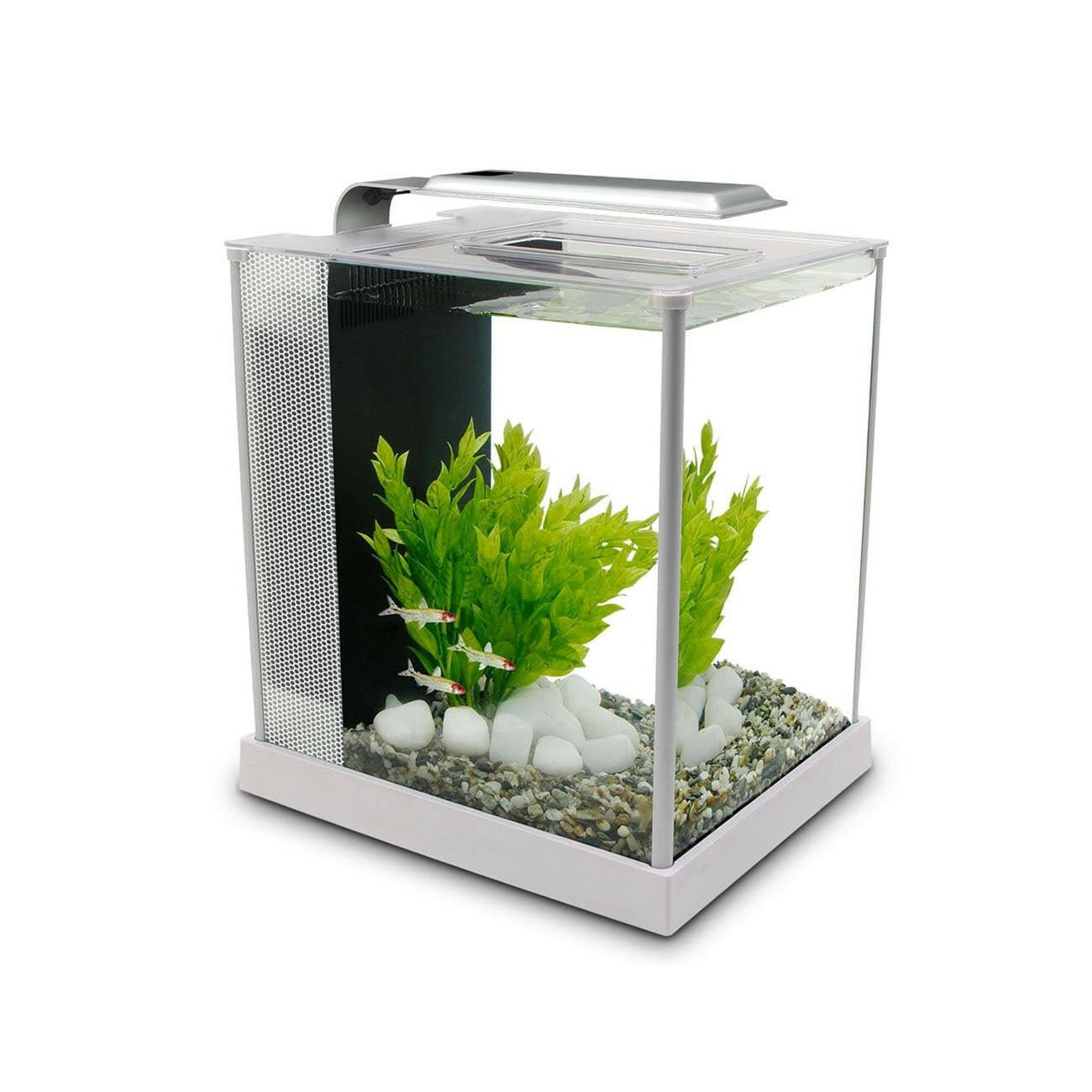 Fluval Spec 10 Litre Aquarium (White) - Charterhouse Aquatics