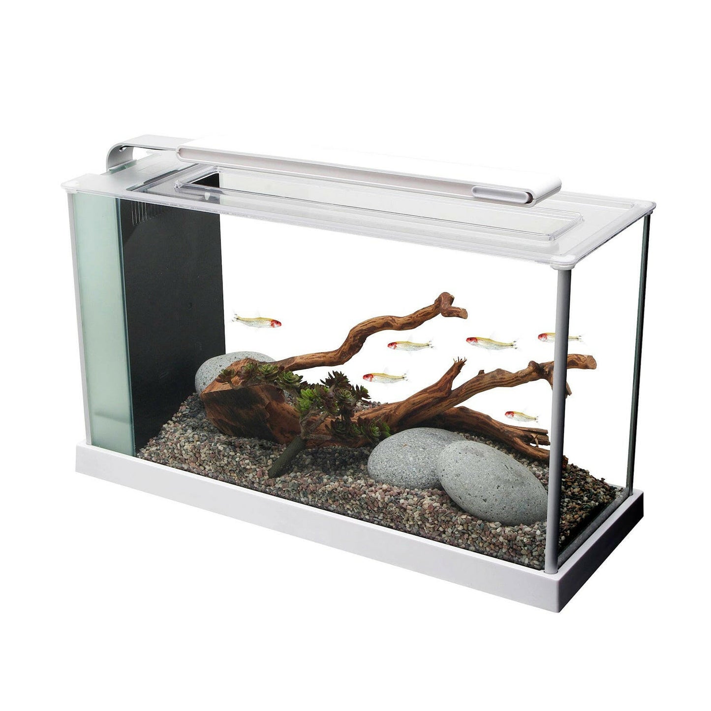 Fluval Spec 19 Litre Aquarium (White) - Charterhouse Aquatics