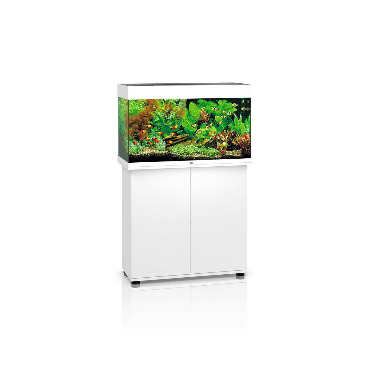 Juwel Rio 125 LED Aquarium and Cabinet (White) - Charterhouse Aquatics