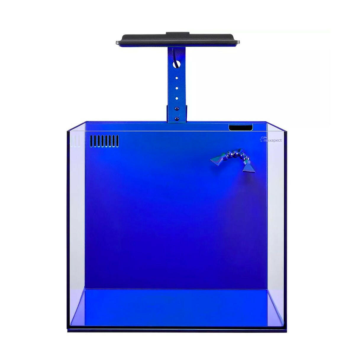 Maxspect Dice AIO Nano Aquarium - Charterhouse Aquatics