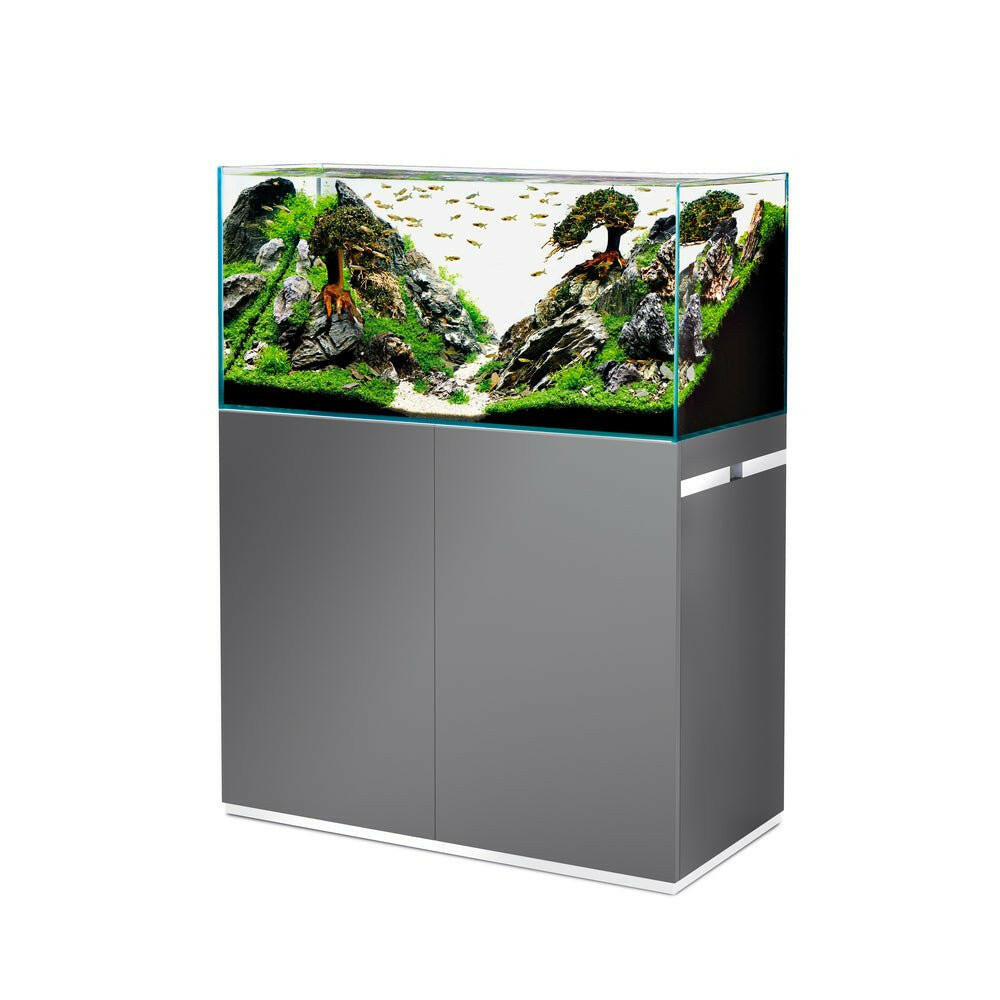 Oase ScaperLine 100 Grey Optiwhite Aquarium and Cabinet - Charterhouse Aquatics