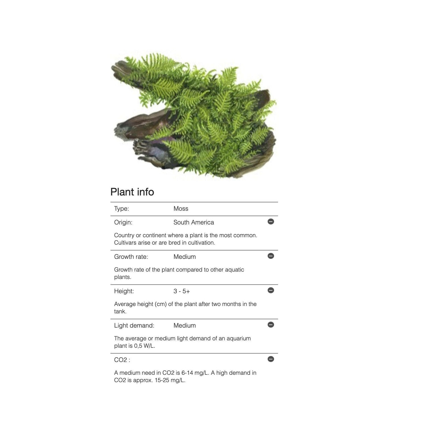 Tropica Vesicularia 'Christmas Moss' 1-2-Grow - Charterhouse Aquatics