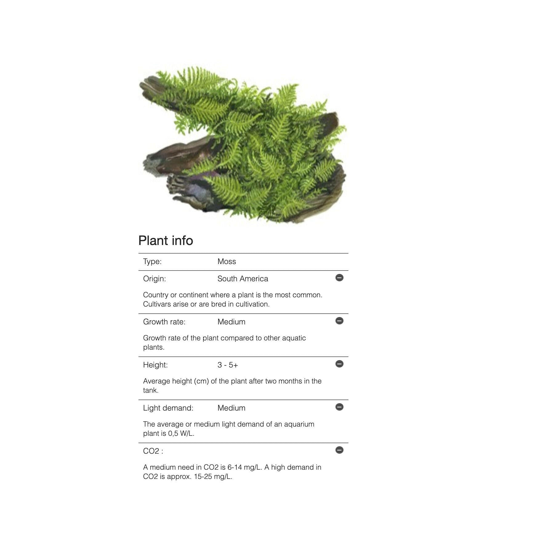 Tropica Vesicularia 'Christmas Moss' 1-2-Grow - Charterhouse Aquatics