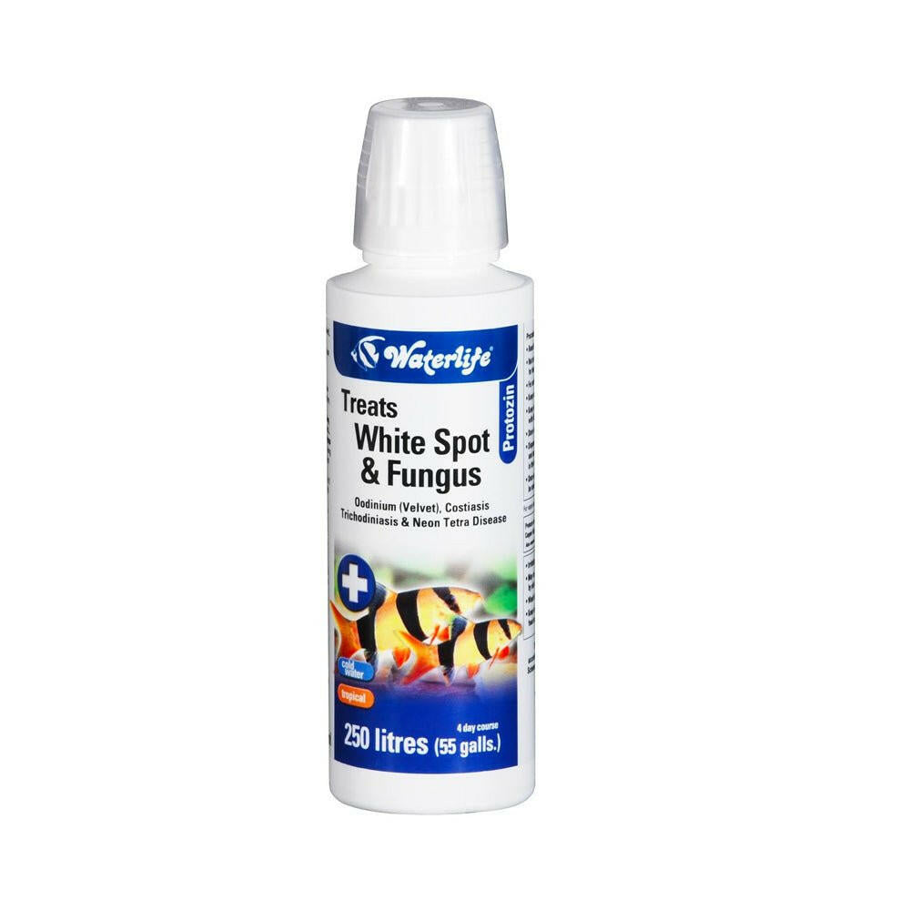Waterlife Protozin 100ml - Charterhouse Aquatics