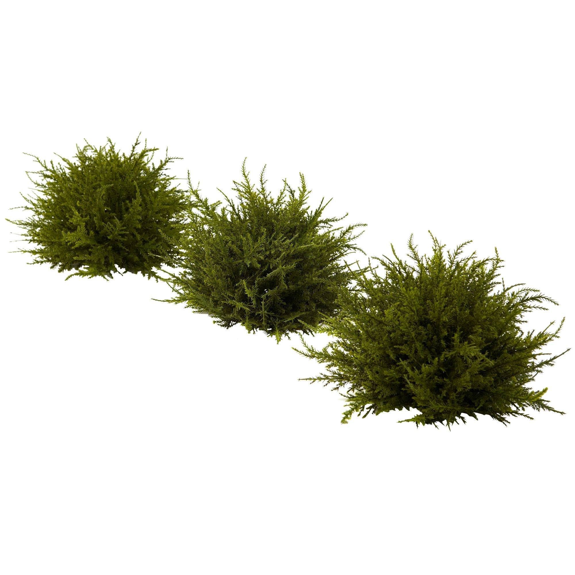 7.5' Cedar Balls (Set of 3) by Nearly DOQNPX_V7L9 7.5' Cedar Balls (Set of 3) by Nearly DOQNPX_V7L9