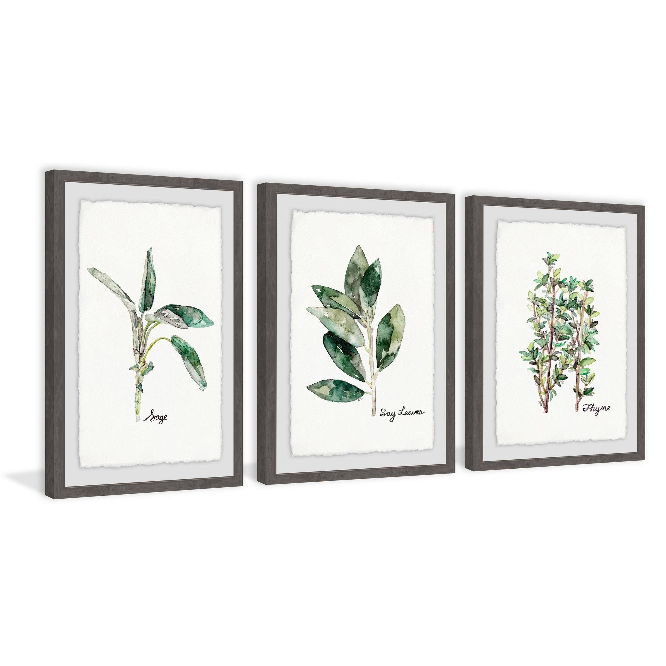 Marmont Hill - Handmade Herb Trio Triptych - Multi-Color 72 x XGNOJO_CEZX