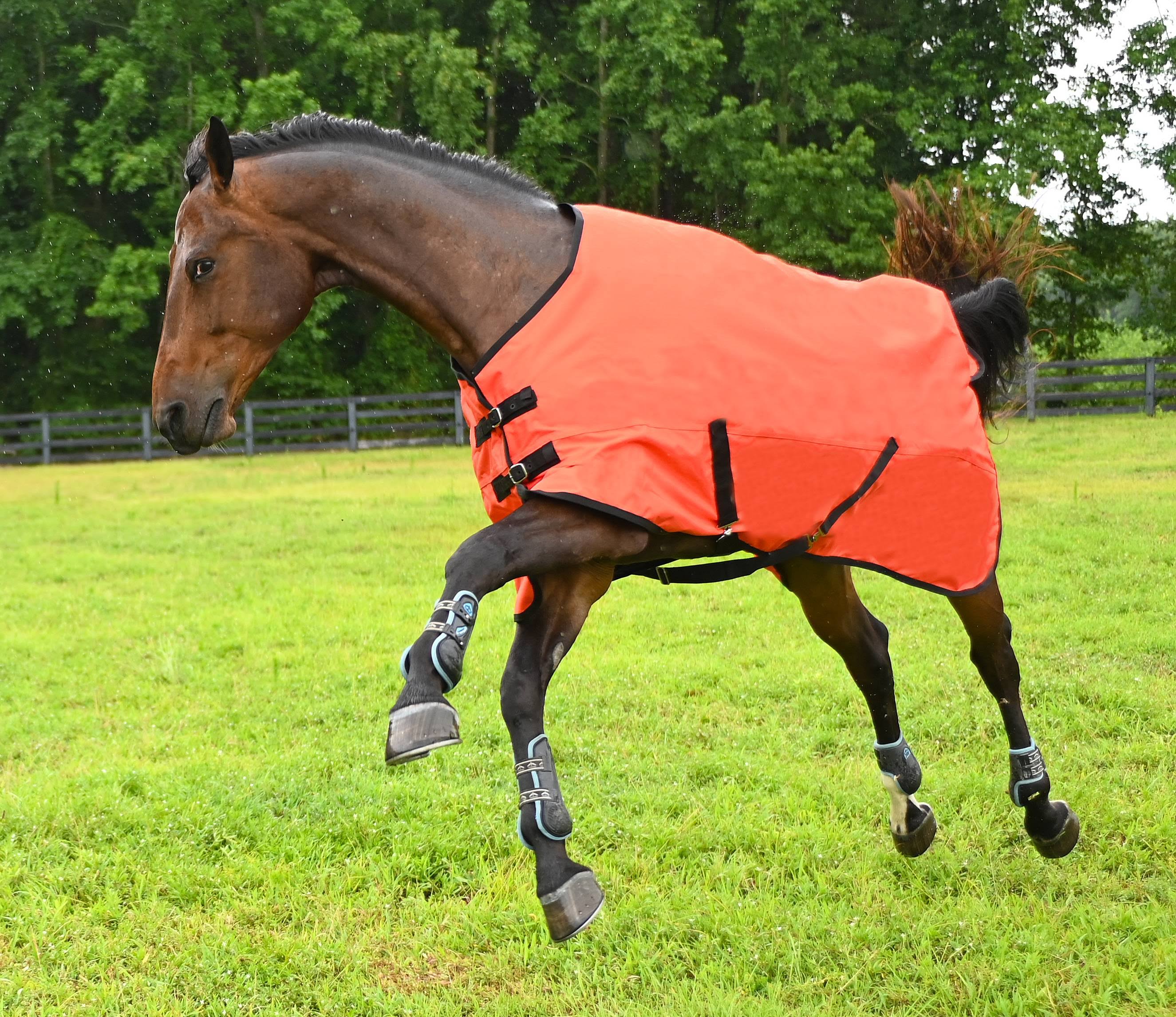 Gatsby Original Lite Waterproof Turnout Sheet, Size: 75, 2OAPMH_YSFS Gatsby Original Lite Waterproof Turnout Sheet, Size: 75, 2OAPMH_YSFS