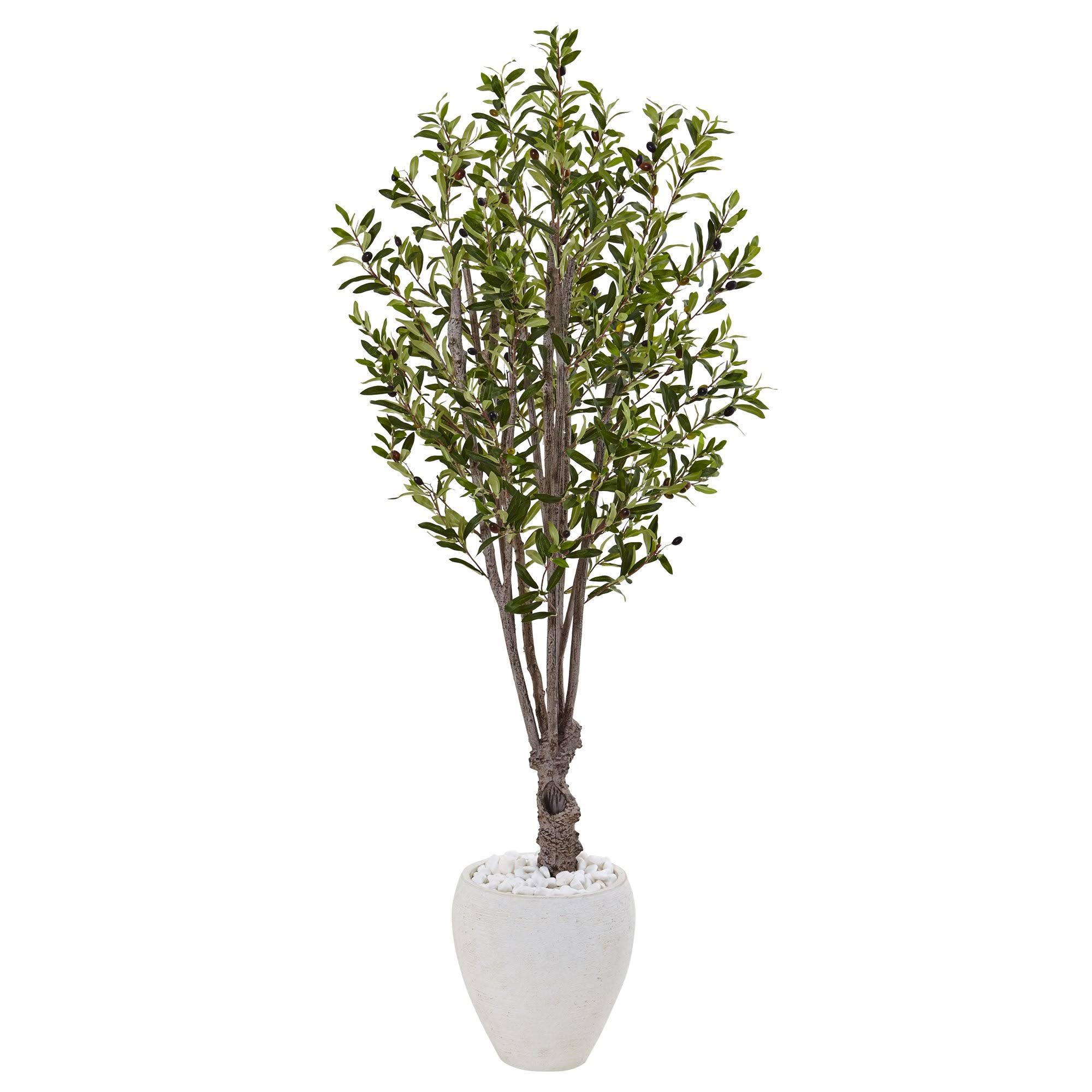 Nearly Natural 5-Foot Olive Tree in White Oval 0YVH2I_9YI1 Nearly Natural 5-Foot Olive Tree in White Oval 0YVH2I_9YI1
