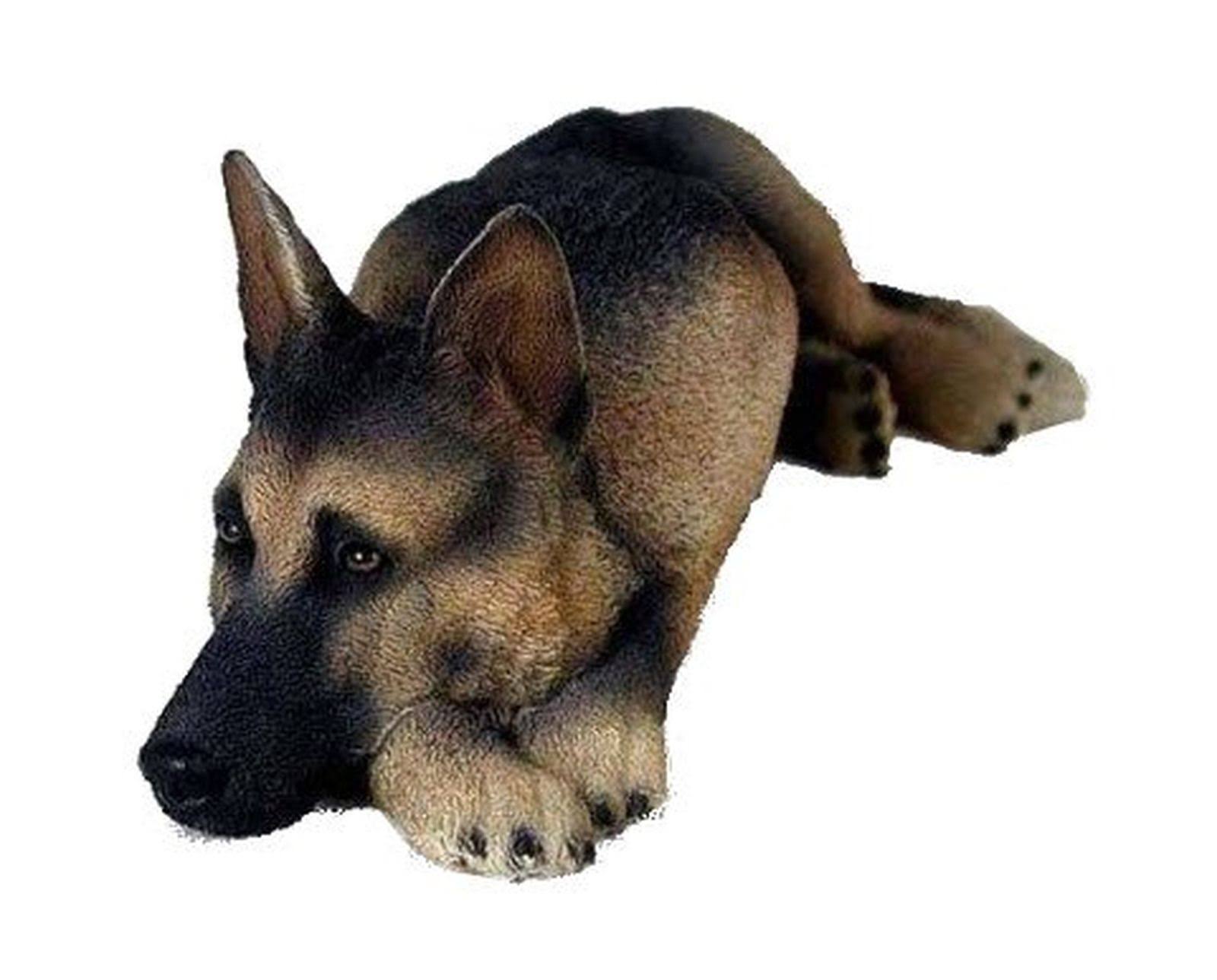 German Shepherd Tan Black My Dog BMP1DW_4CWD
