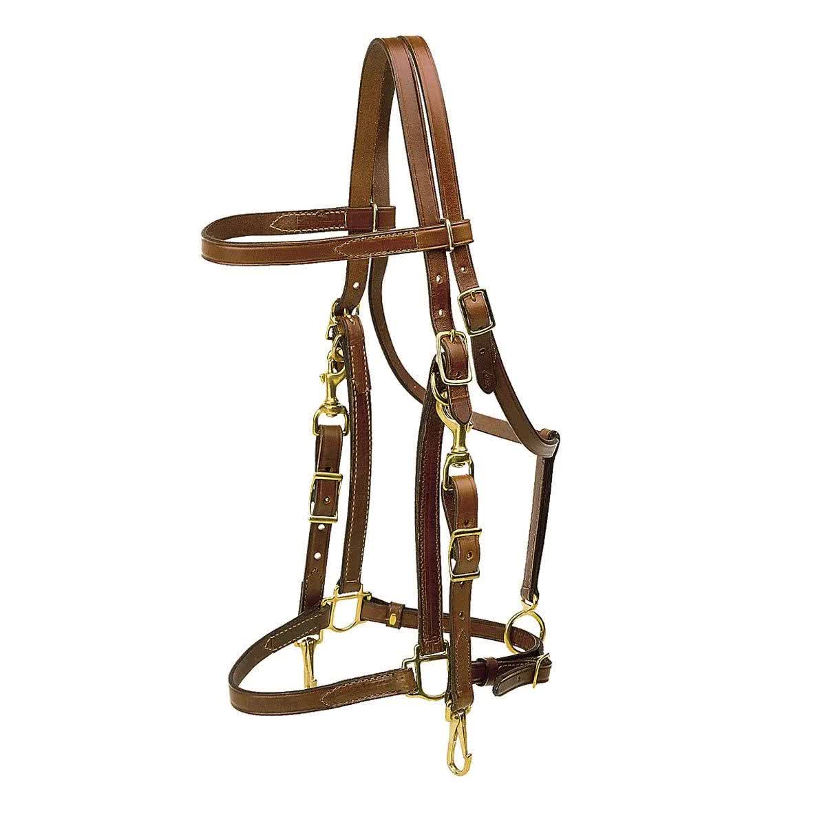 Tory Leather Tory Halter Trail Bridle COB M9FRVF_F5FD Tory Leather Tory Halter Trail Bridle COB M9FRVF_F5FD