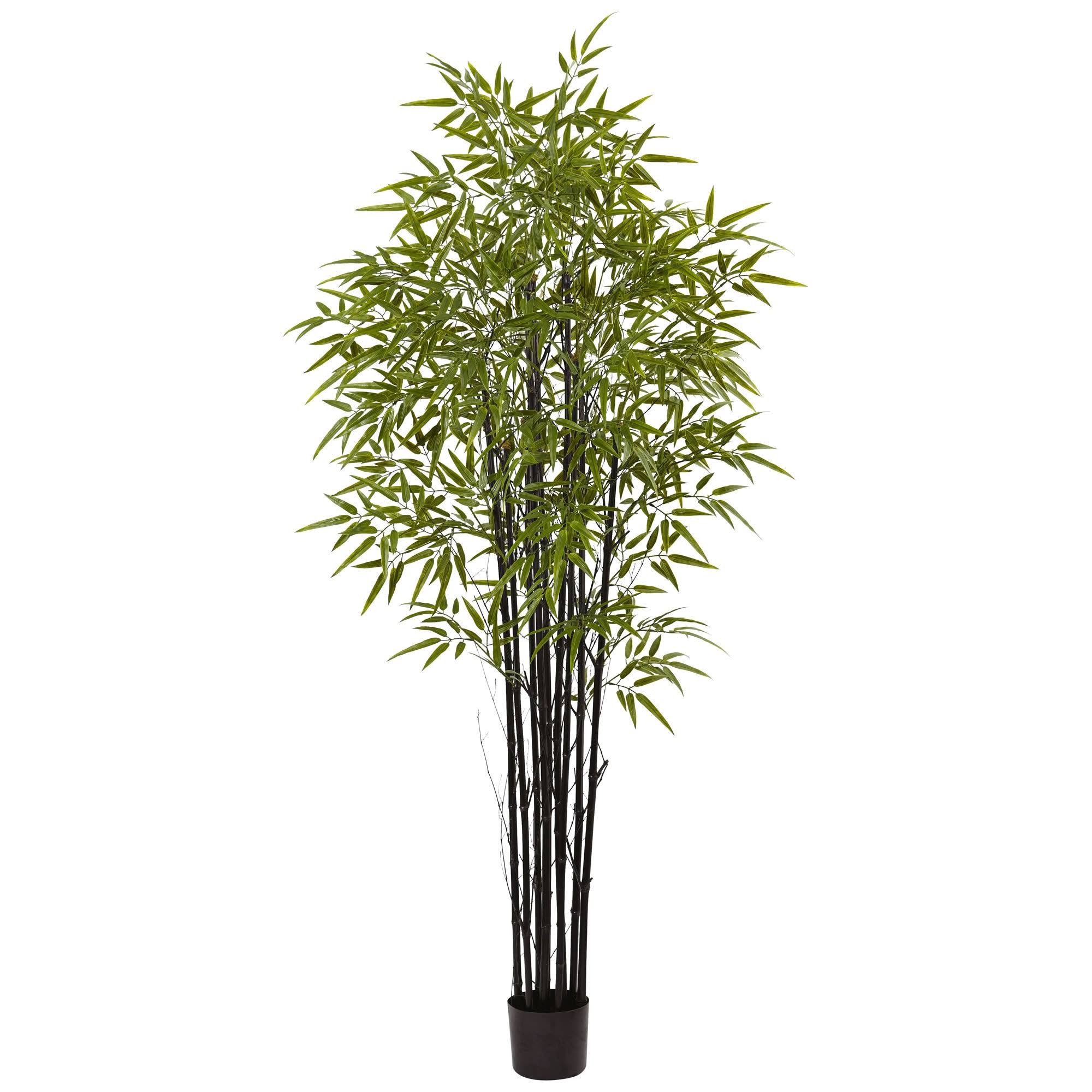 Nearly Natural Indoor and Outdoor 6 ft. Black Bamboo Tree UV 9RQZL7_QXZN Nearly Natural Indoor and Outdoor 6 ft. Black Bamboo Tree UV 9RQZL7_QXZN