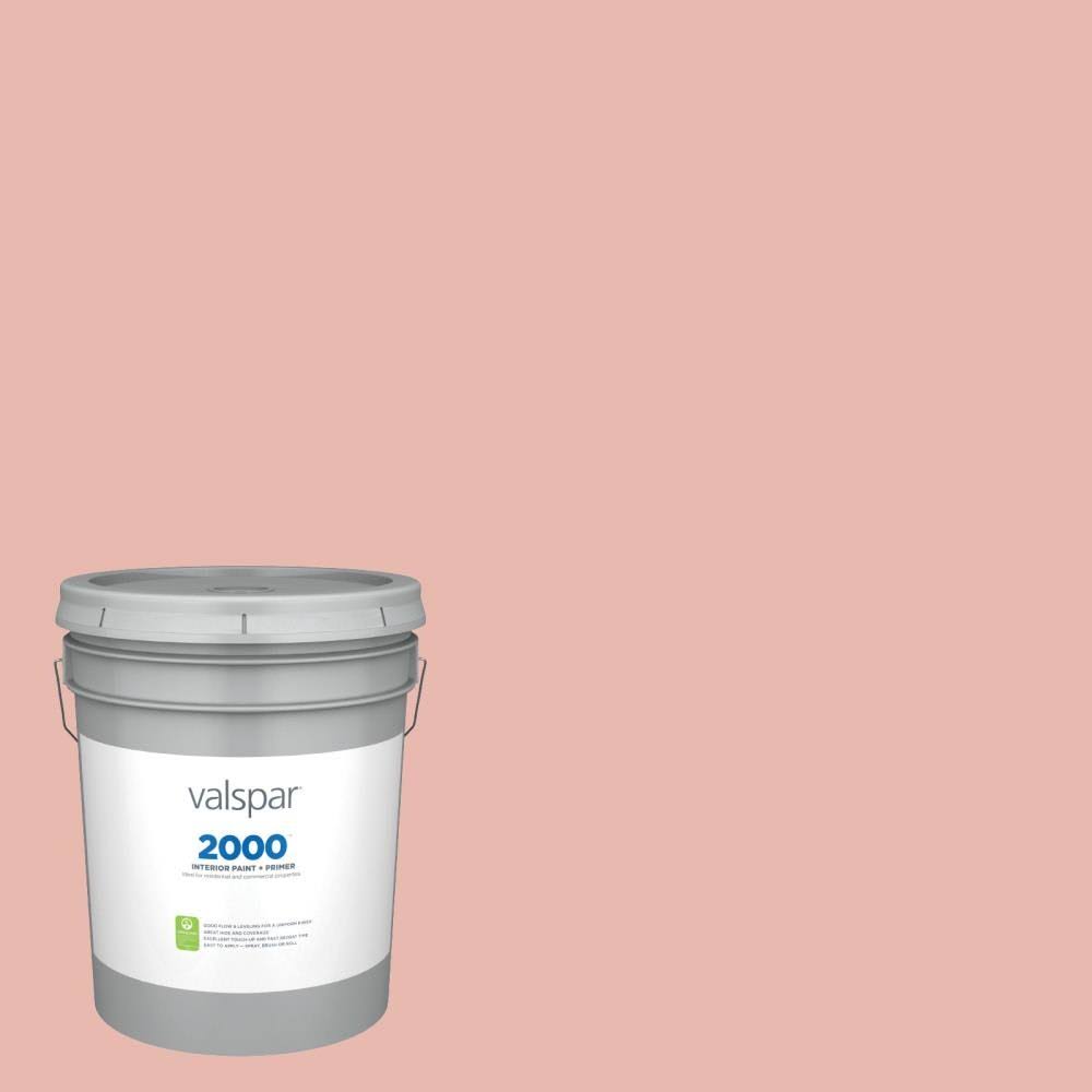 Valspar 2000 Eggshell Rachel Pink Hgsw0026 Interior Paint (5-Gallon) | HGSW0026-MDAH7M_HNLH Valspar 2000 Eggshell Rachel Pink Hgsw0026 Interior Paint (5-Gallon) | HGSW0026-MDAH7M_HNLH