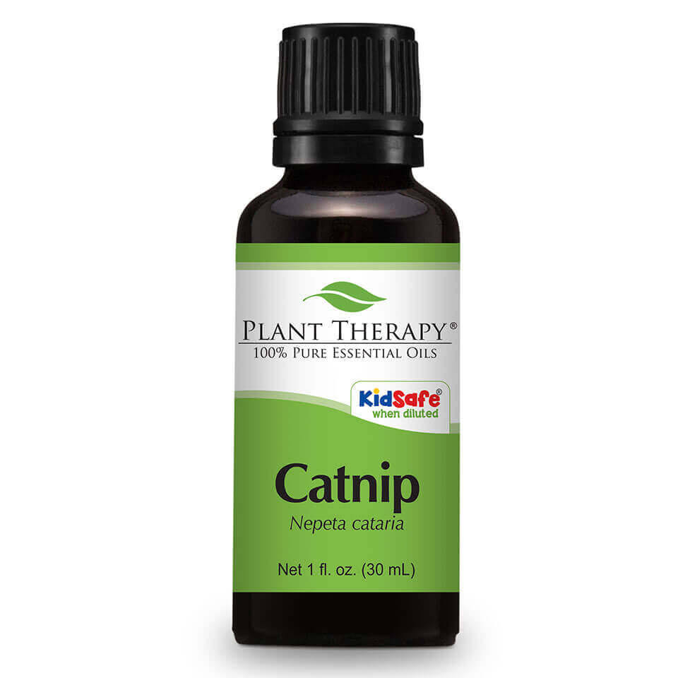 Plant Therapy Catnip Essential Oil. 100% Pure, Undiluted, Therapeutic Grade (30 mL) 6.80912E+HSNYZ5_RKHD Plant Therapy Catnip Essential Oil. 100% Pure, Undiluted, Therapeutic Grade (30 mL) 6.80912E+HSNYZ5_RKHD