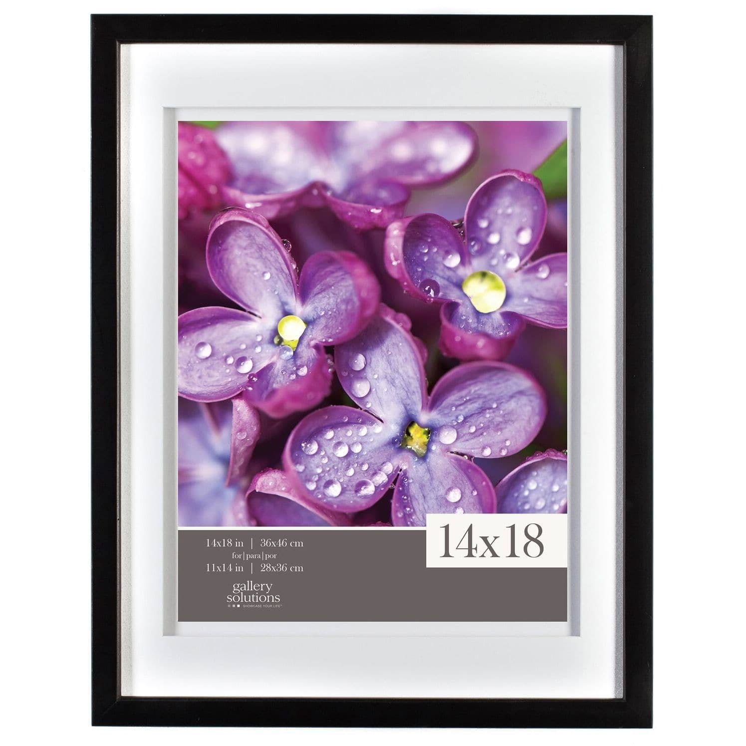 Gallery Solutions 14x18 Black Frame Airfloat Matted to ZJ5ILH_NMBB