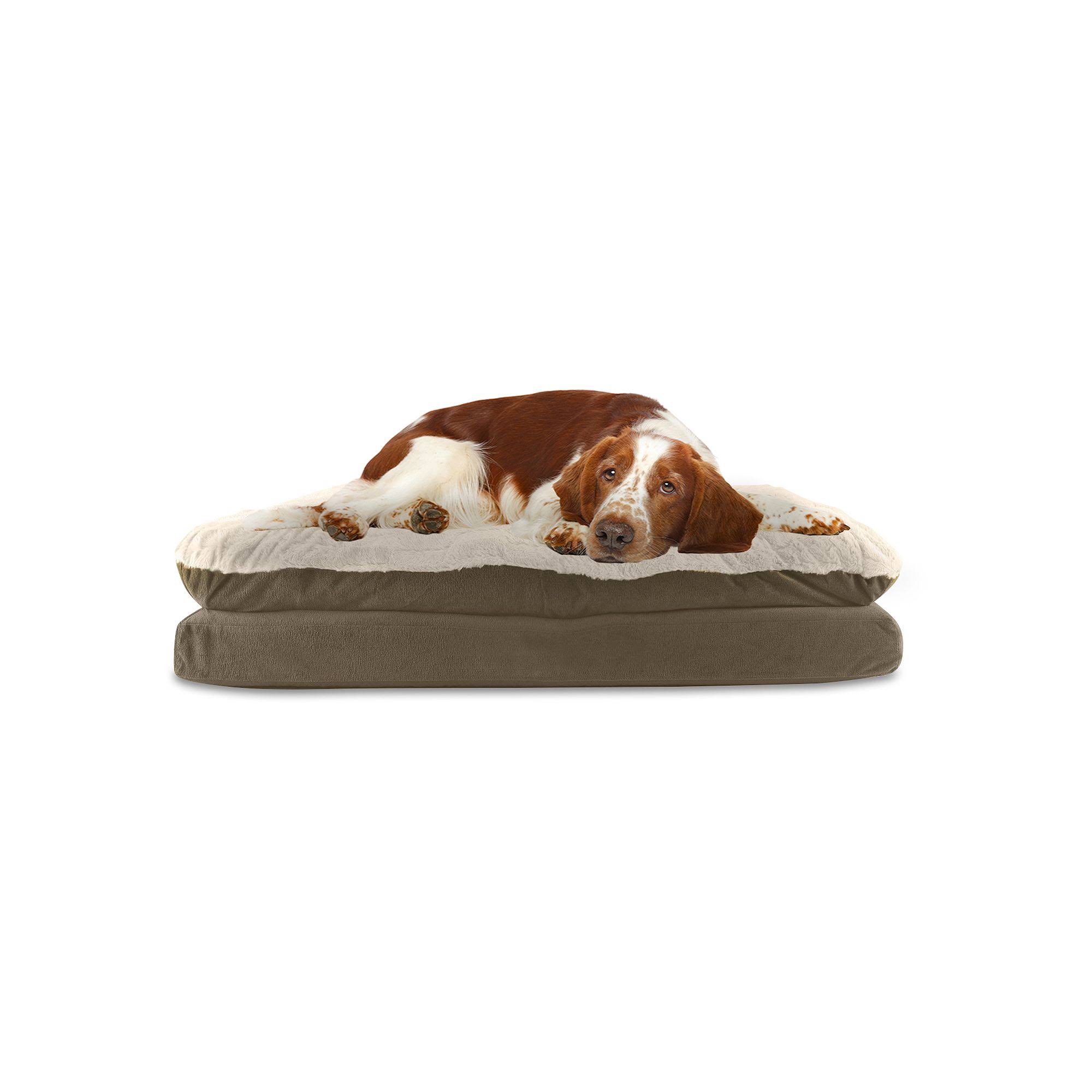 Canine Creations Arlee Pillow Topper Rectangle Pet Dog Bed - 1KYC4X_9DPU Canine Creations Arlee Pillow Topper Rectangle Pet Dog Bed - 1KYC4X_9DPU