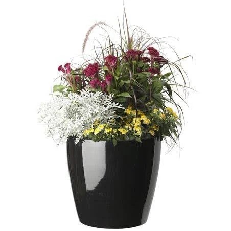 Viva Self-Watering Rolling Planter, Round Large - Black - Gardener's Supply Co. JQ7ANX_3JMV