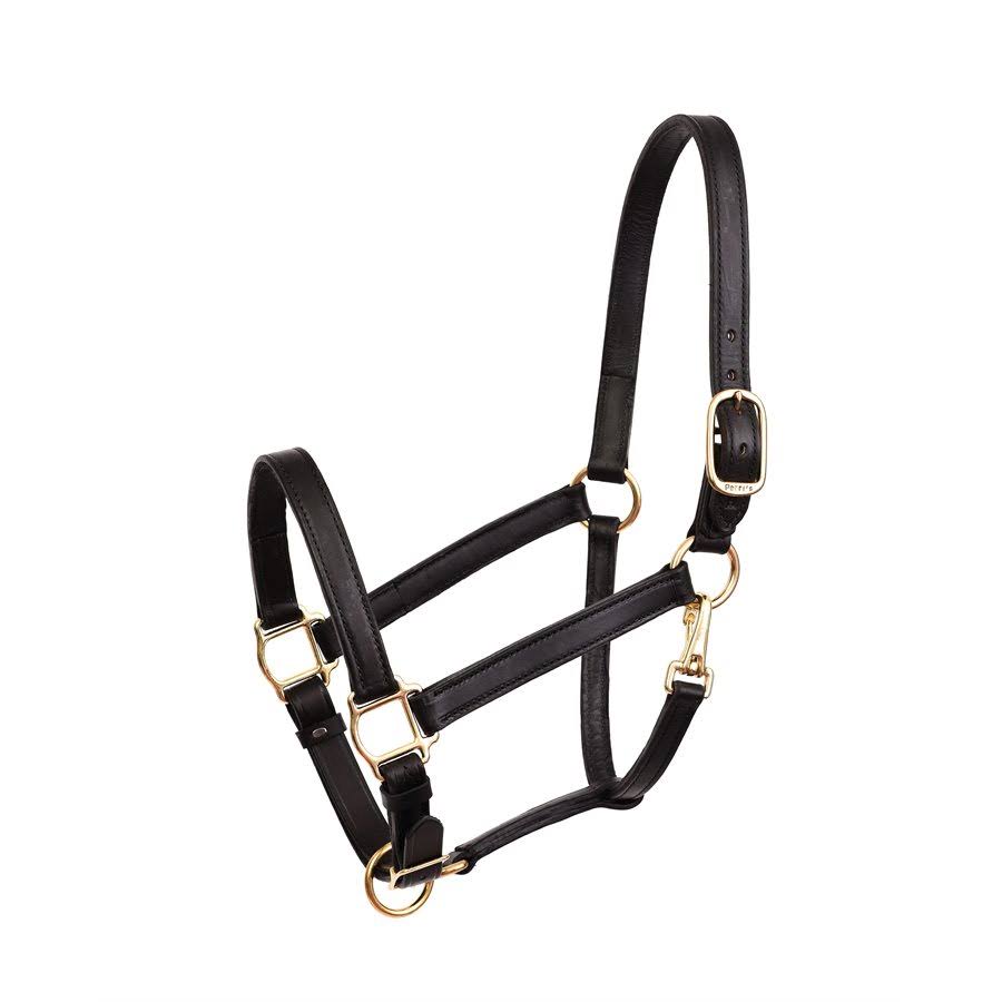 Perri's Leather AAM7P4_VZ4I Perri's Leather AAM7P4_VZ4I